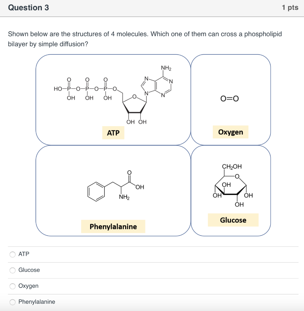 Solved Question 1 1 pts Shown below is a drawing of a plasma | Chegg.com
