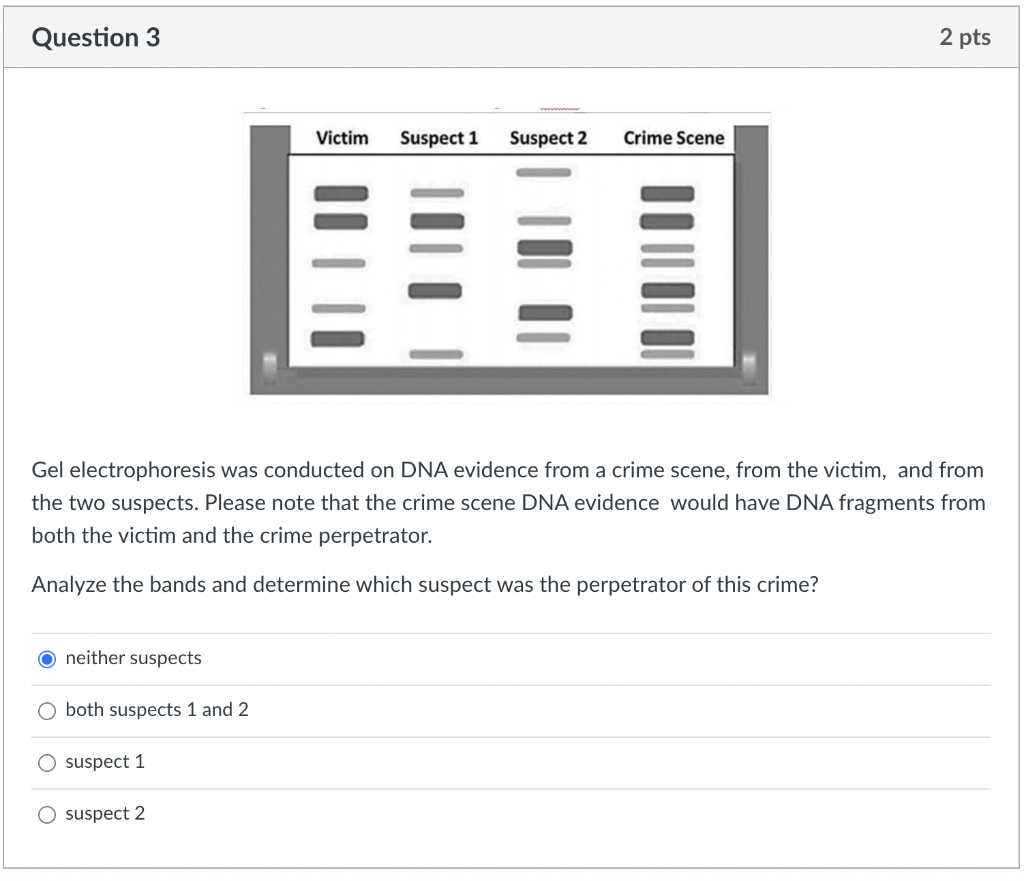 Solved The vertebrates forearms are an example of