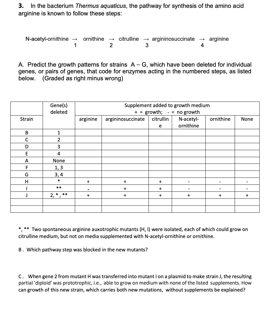 Solved 3. In the bacterium Thermus aquaticus, the pathway