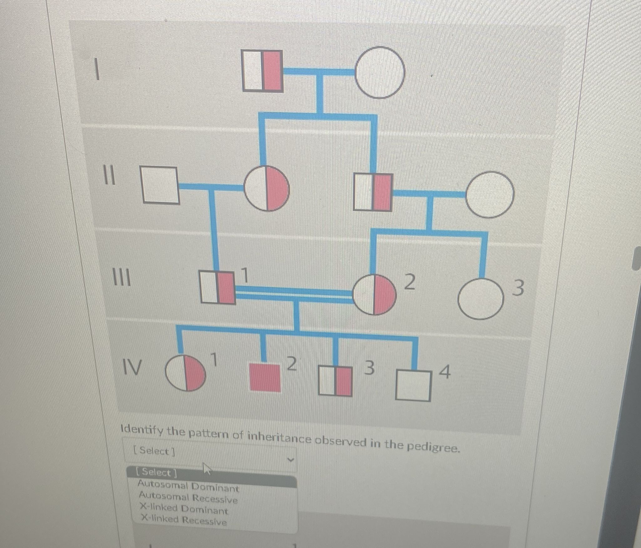 Solved Identify The Pattern Of Inheritance Observed In The | Chegg.com