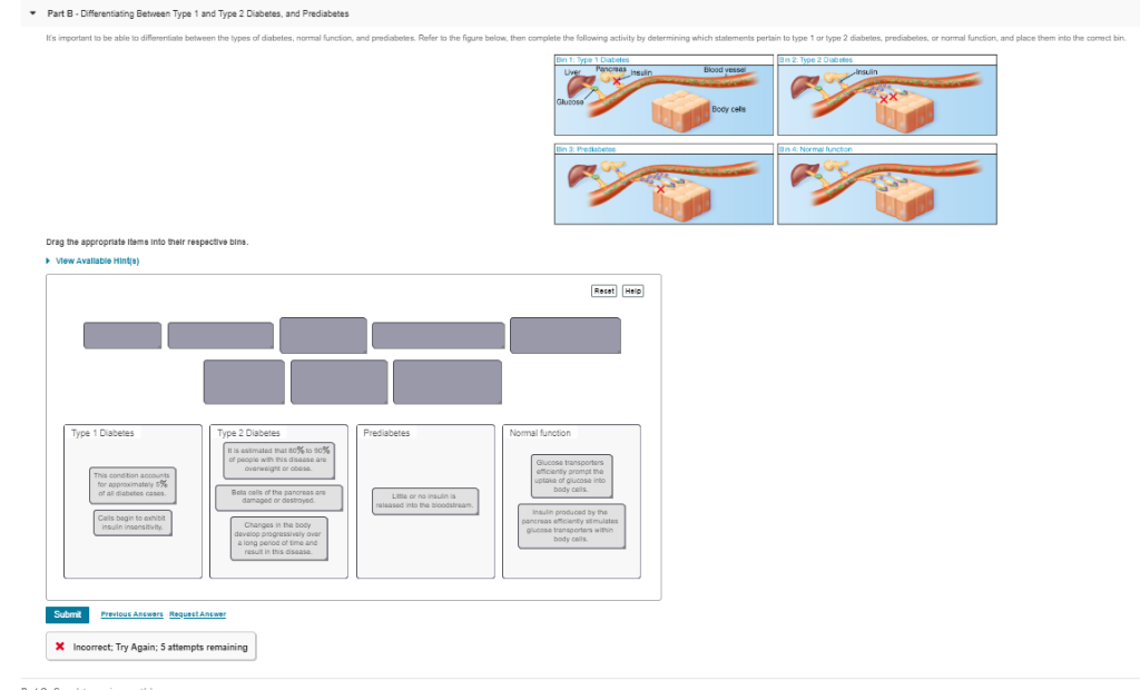 Solved KAssignment 3 Carbohydrates Focus Figure 3