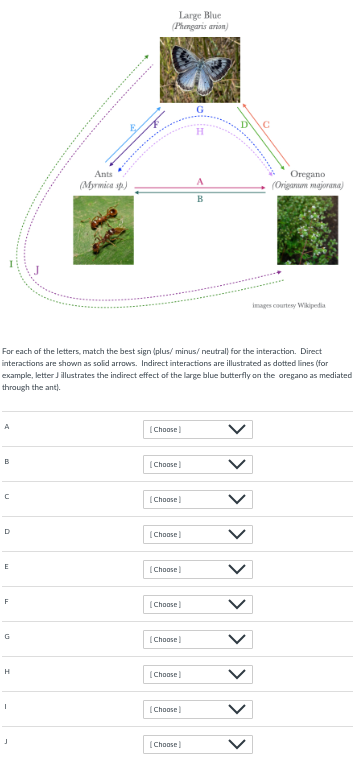Solved For each of the letters, match the best sign (plus/ | Chegg.com