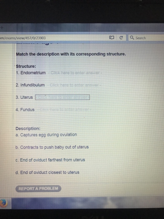 Solved Match the description with its corresponding | Chegg.com
