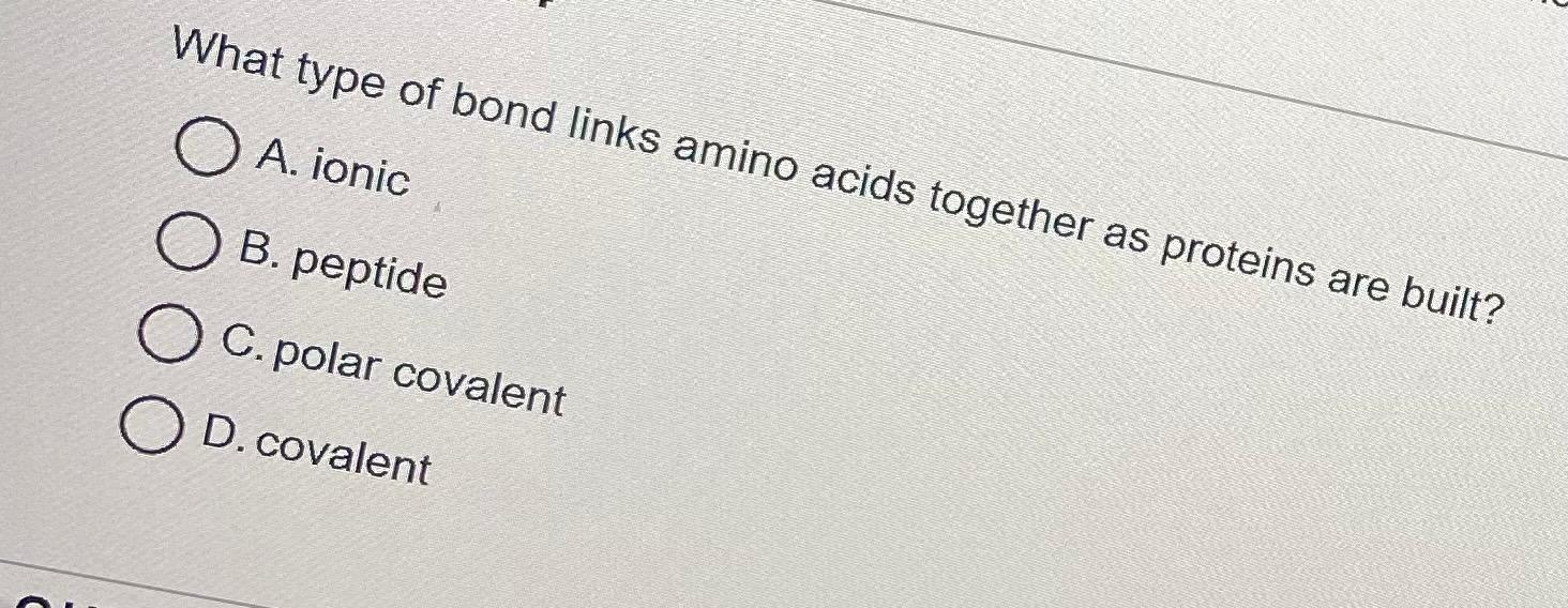 Solved What type of bond links amino acids together as | Chegg.com