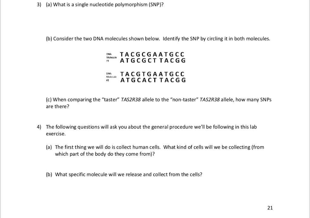 solved-3-a-what-is-a-single-nucleotide-polymorphism-chegg