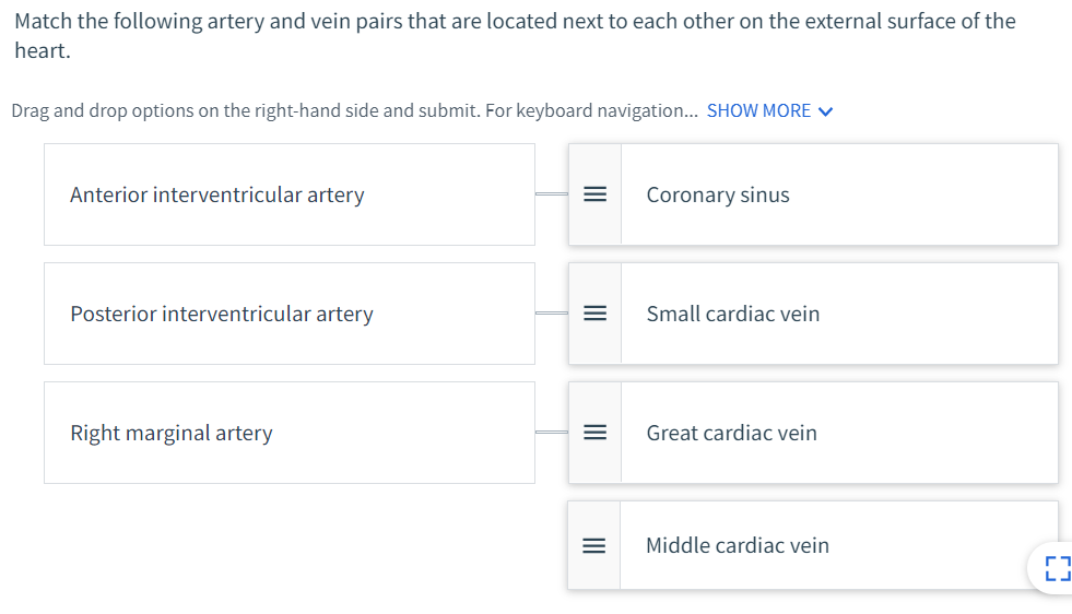 Solved Match the following artery and vein pairs that are | Chegg.com