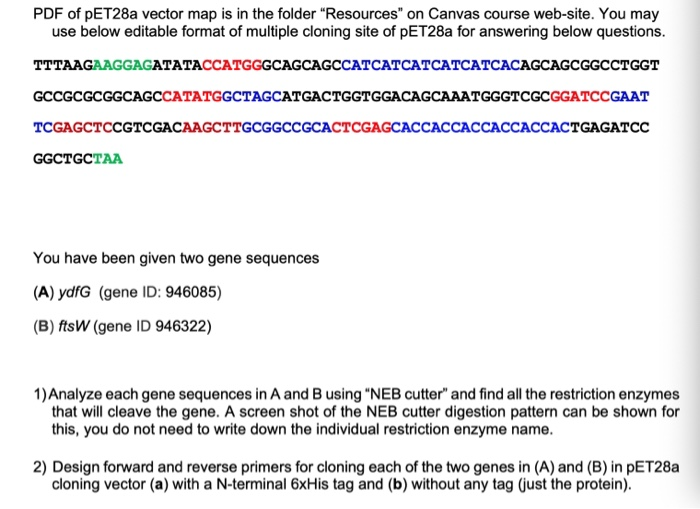 Solved PDF of pET28a vector map is in the folder 