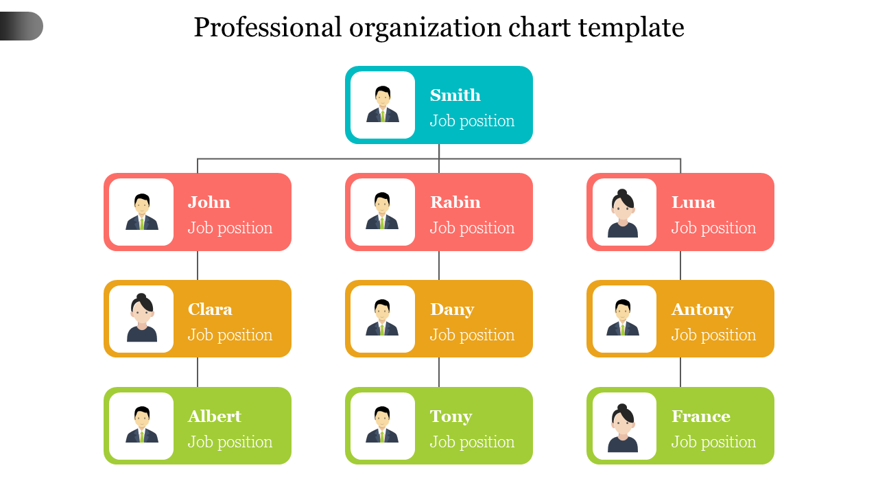 Solved Professional organization chart template John Job | Chegg.com