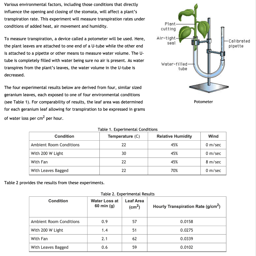 potometer experiment results