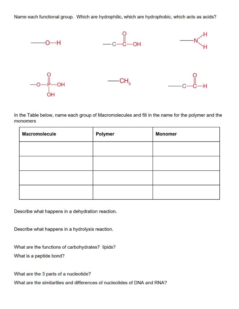 Solved Name each functional group. Which are hydropholic, | Chegg.com