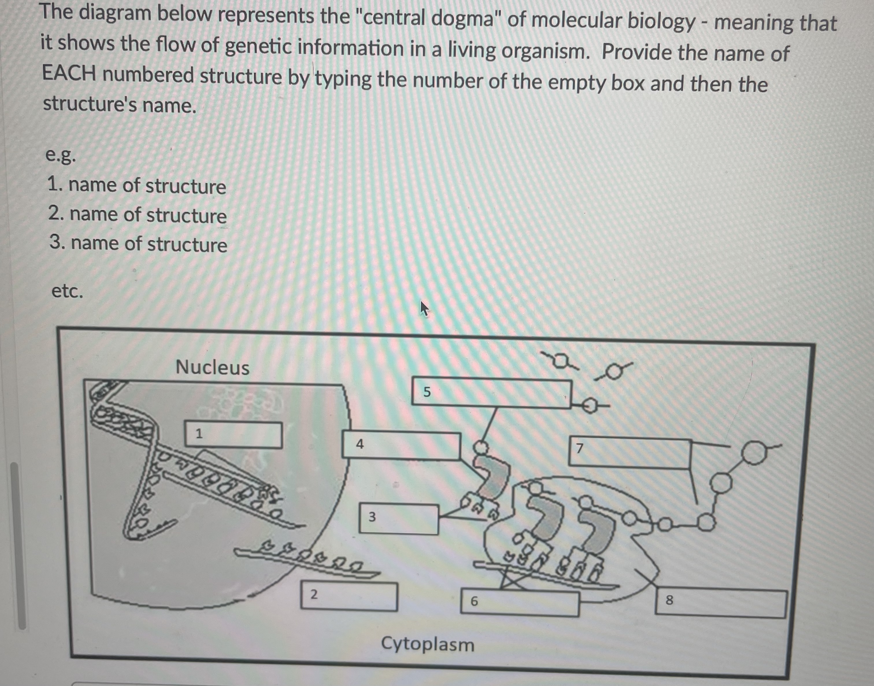 Solved The diagram below represents the "central dogma" of | Chegg.com