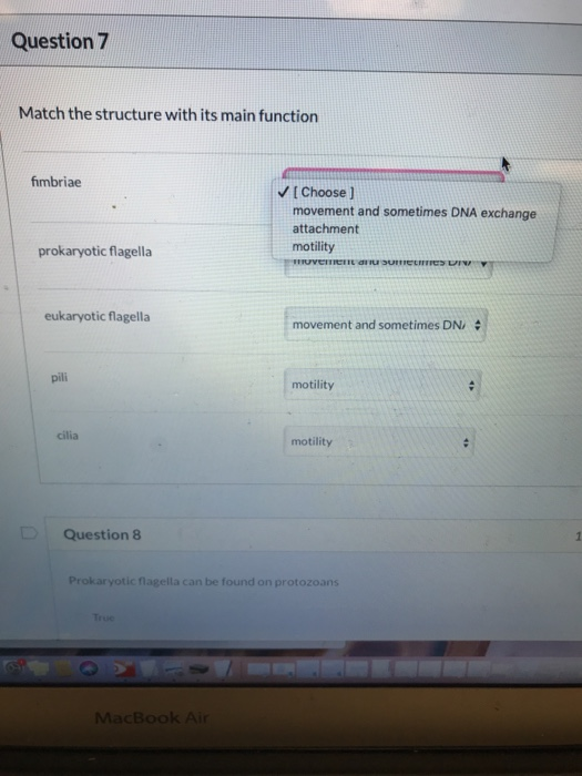 Solved Question 7 Match the structure with its main function