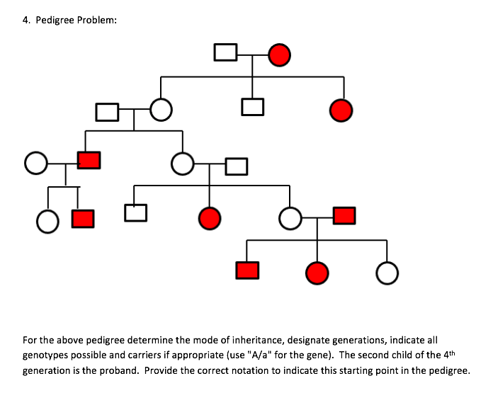 Solved 4. Pedigree Problem: For the above pedigree determine | Chegg.com