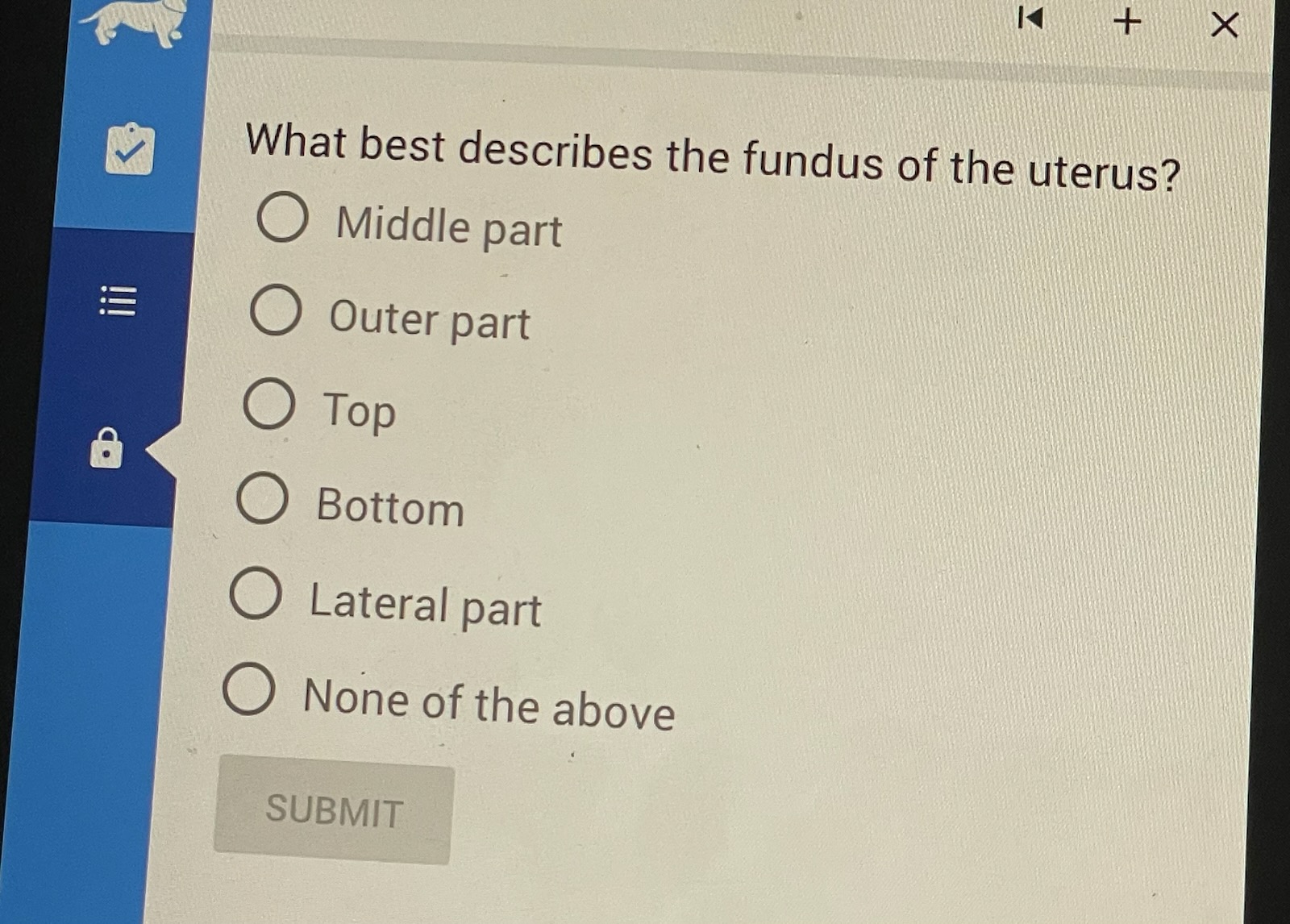 Solved What best describes the fundus of the uterus? Middle | Chegg.com