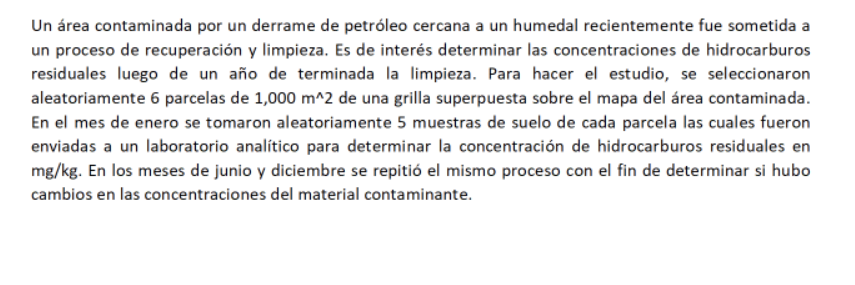 Un área contaminada por un derrame de petróleo cercana a un humedal recientemente fue sometida a un proceso de recuperación y