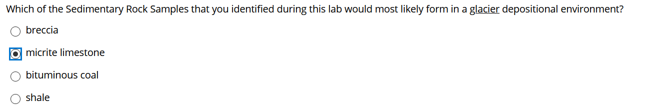 Solved Which of the Sedimentary Rock Samples that you | Chegg.com