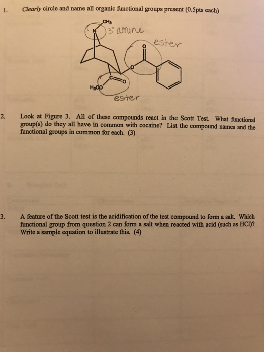 Solved substance is cocaine (Figure 2). Cocaine, as well as | Chegg.com