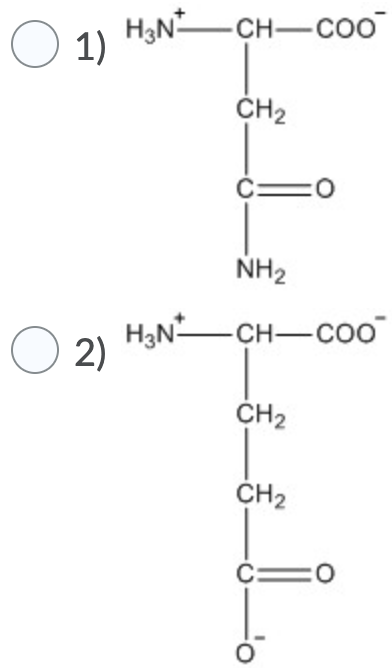 Solved Which of the following is most likely to be found in | Chegg.com