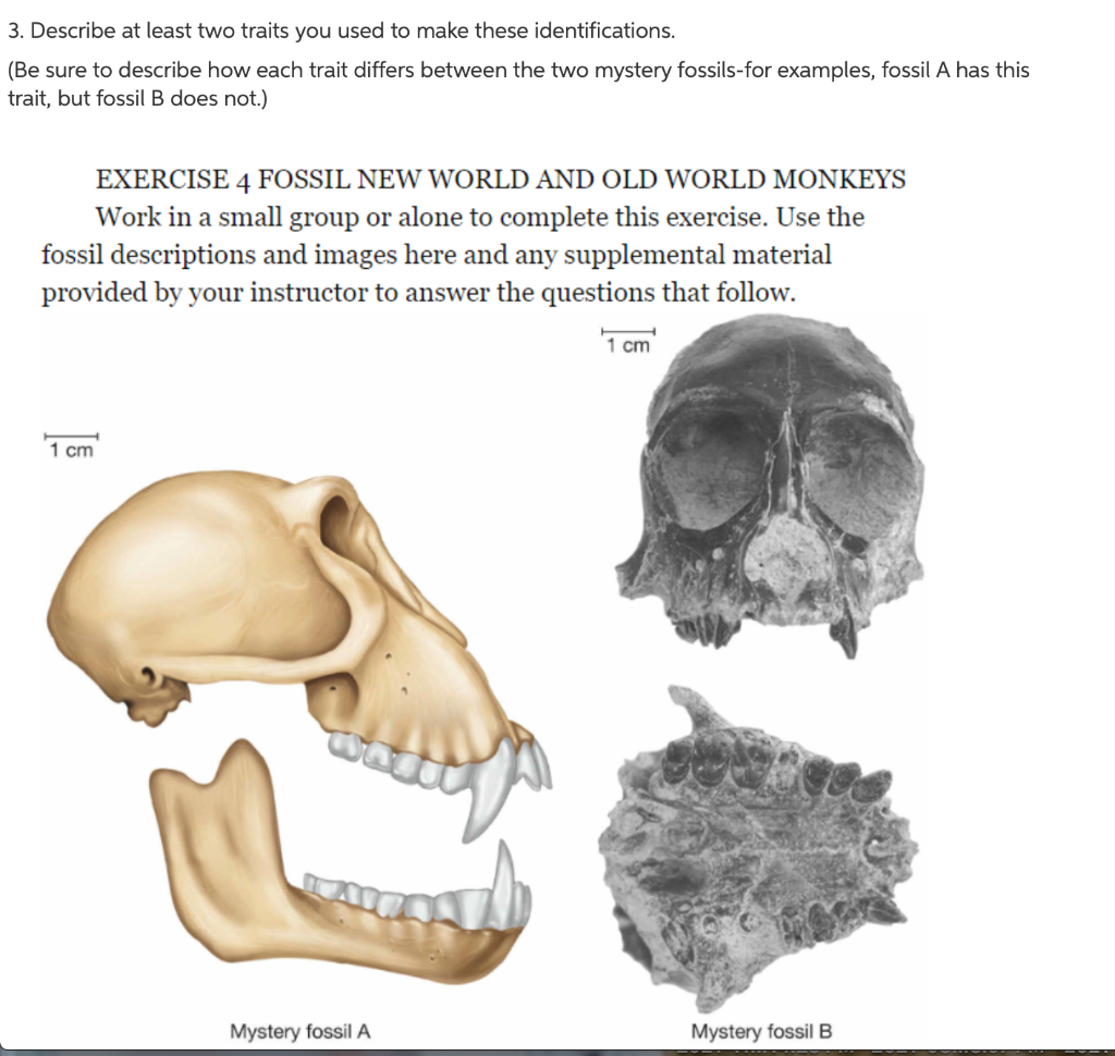 Solved Question 1 1 pts (2001) Use the fossil descriptions