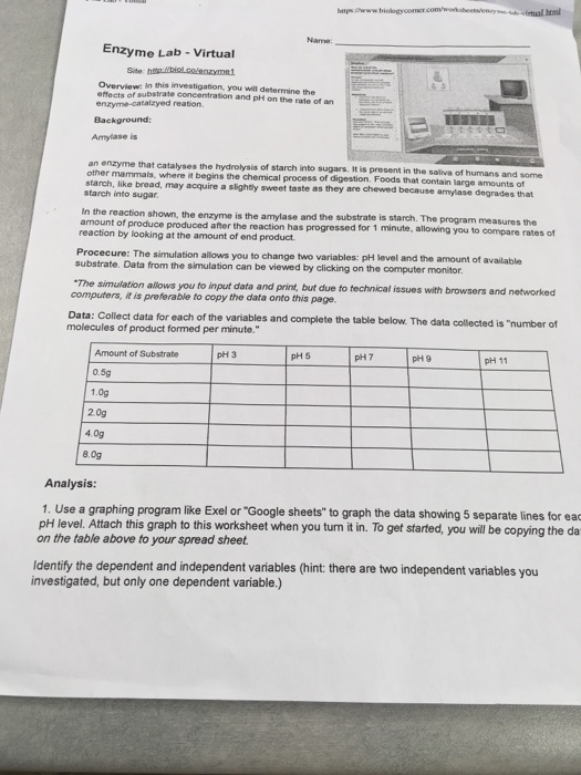 Solved hml Name Enzyme LabVirtual Overview in this