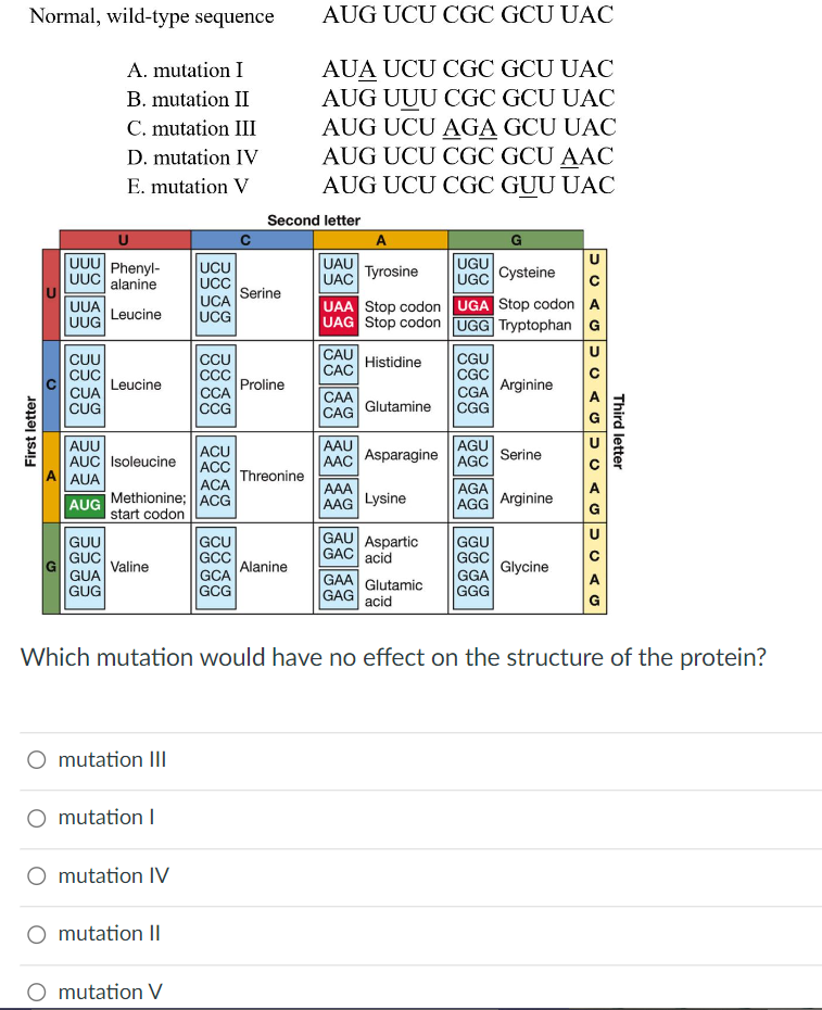 [Solved]: Which Mutation Would Have No Effect On The Struc