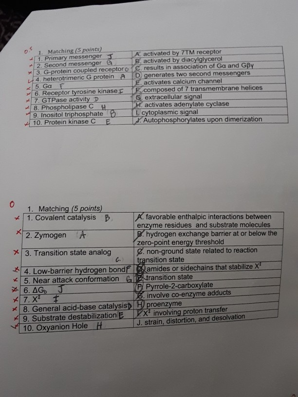 Solved match the definition with the correct vocabulary word