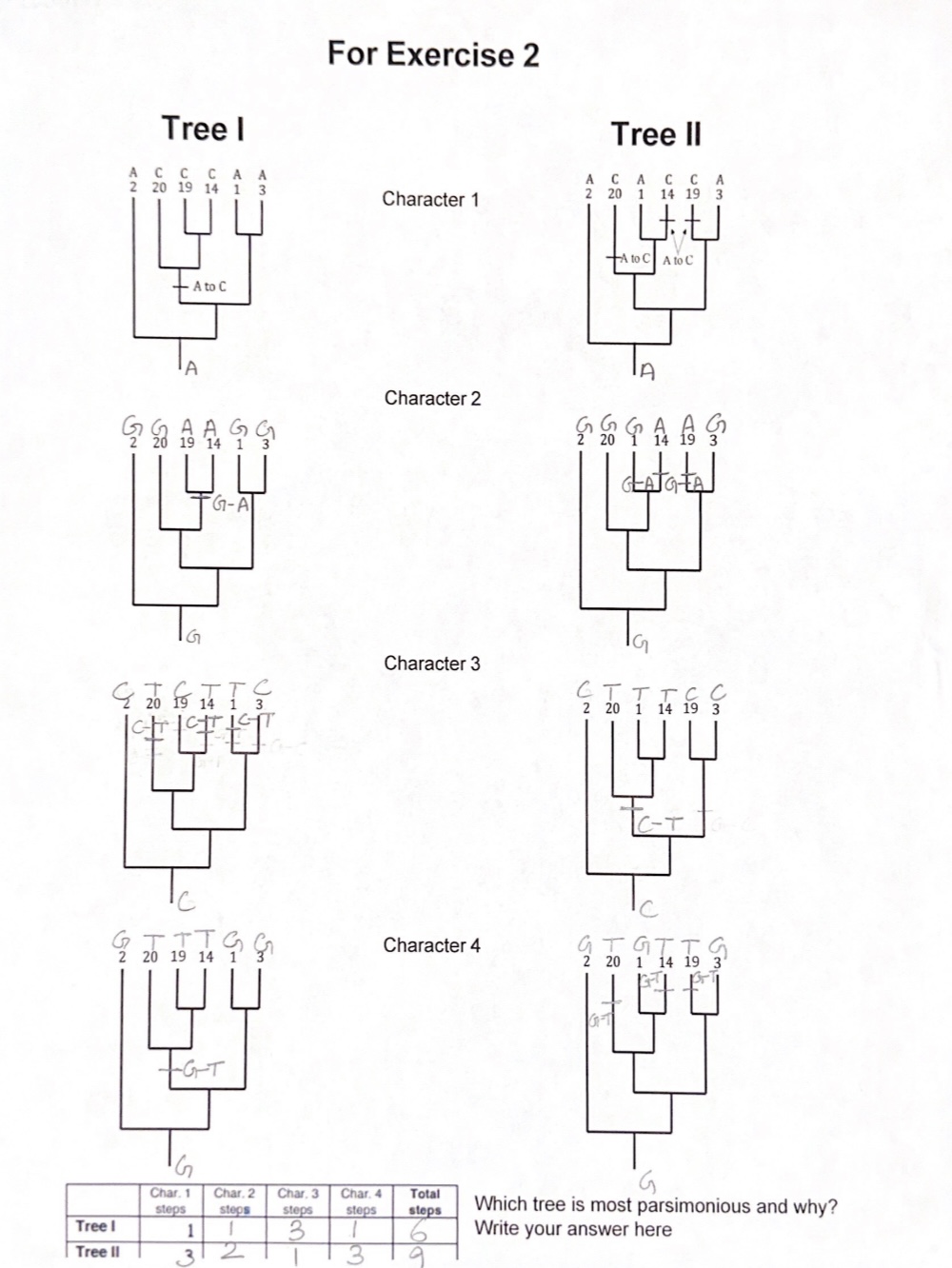 I have attached my answer from Exercise 1, 2, and 3 | Chegg.com