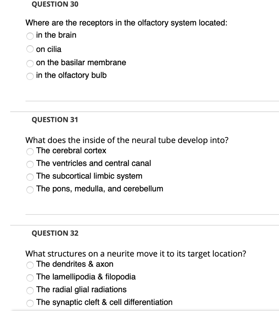 Solved QUESTION 30 Where are the receptors in the olfactory | Chegg.com