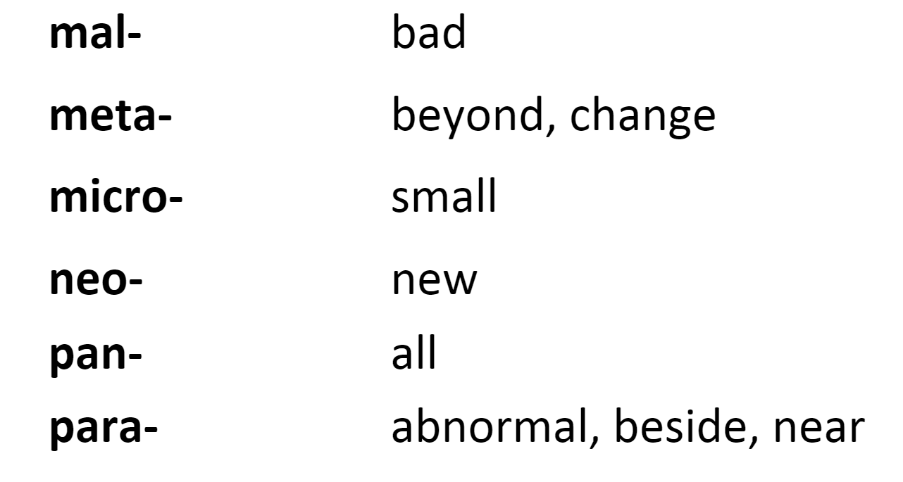 Solved mal- meta- micro- neo- pan- para- bad beyond, | Chegg.com