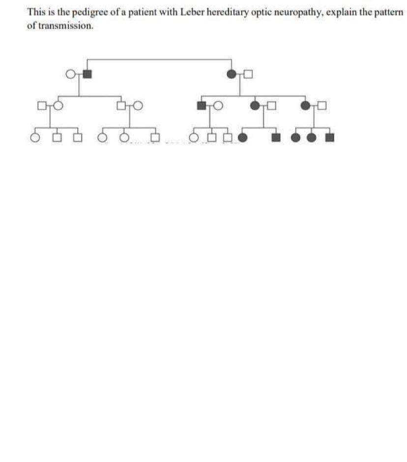 Solved This is the pedigree of a patient with Leber