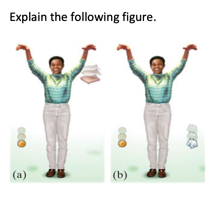 Solved Explain The Following Figure. (a) (b) | Chegg.com