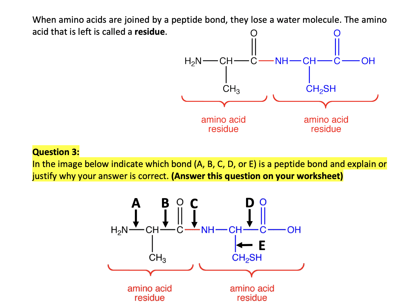 Solved In The Image Below, Indicate Which Bond (A, B, C, D, | Chegg.com