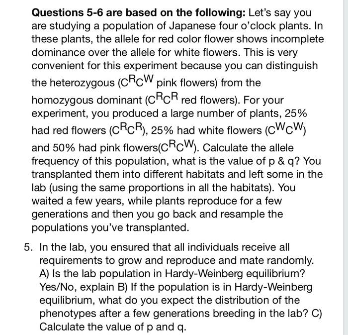 Solved Questions 5-6 are based on the following: Let's say | Chegg.com