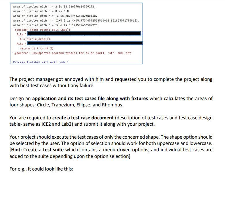 python assignment project