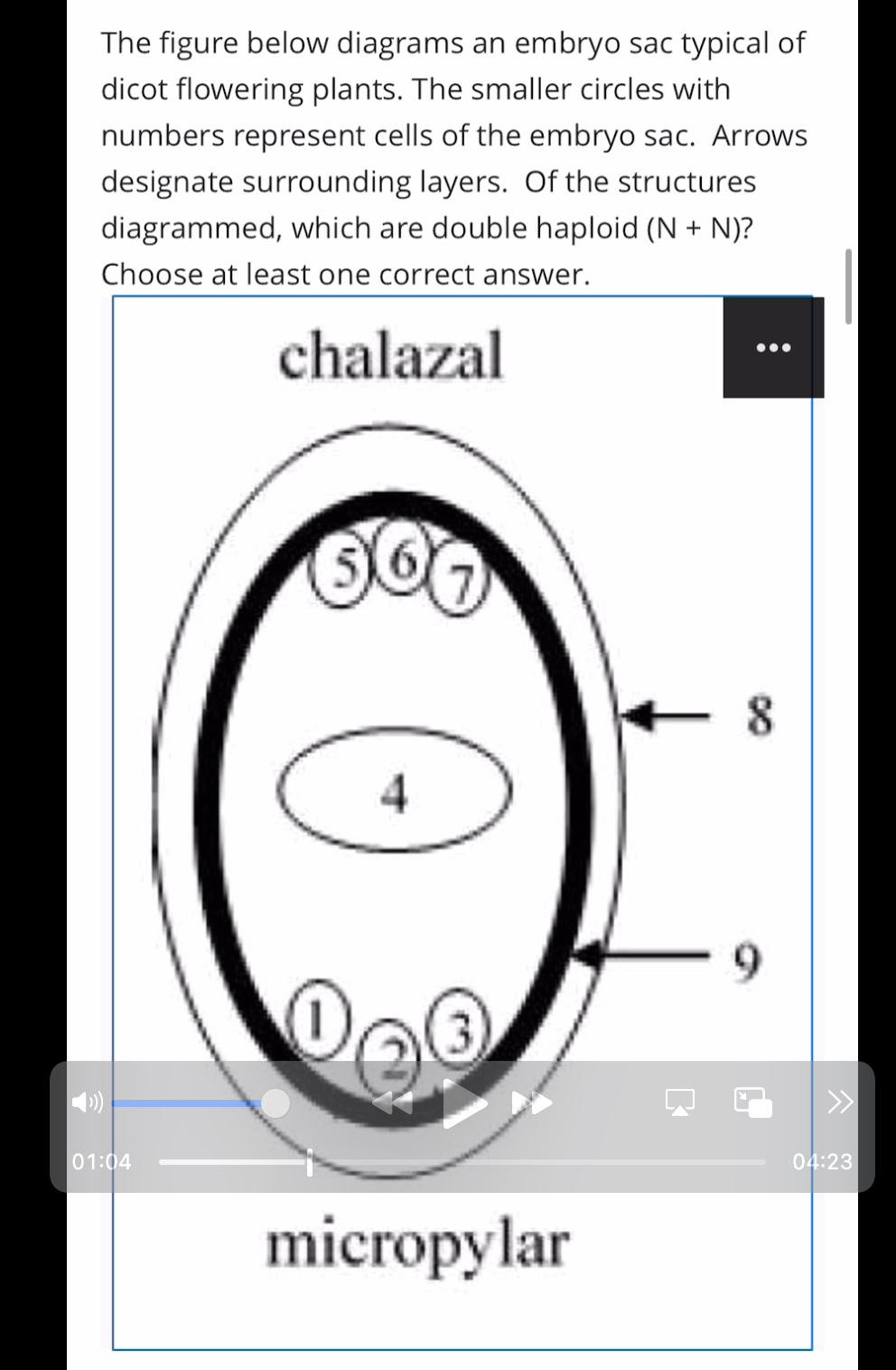 Solved The figure below diagrams an embryo sac typical of | Chegg.com