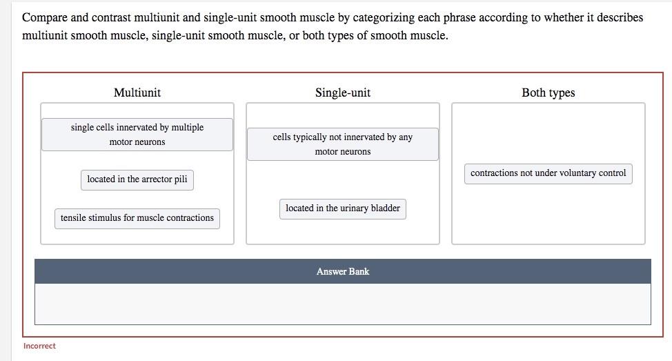 Solved Compare and contrast multiunit and single-unit smooth | Chegg.com