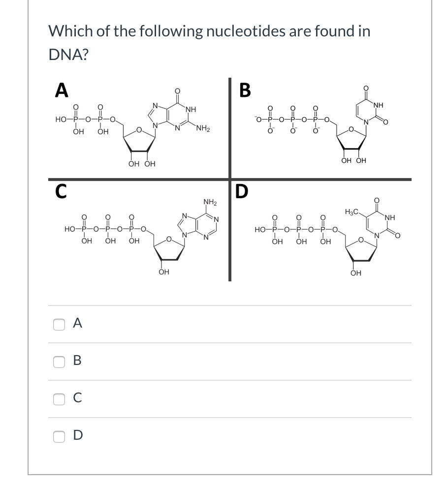Solved You have isolated an E. coli mutant which grows very | Chegg.com