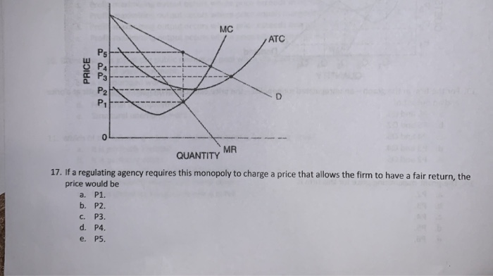 Solved MC ATC Ps 0. P2 P1 ol 0 MR QUANTITY 17. If a | Chegg.com