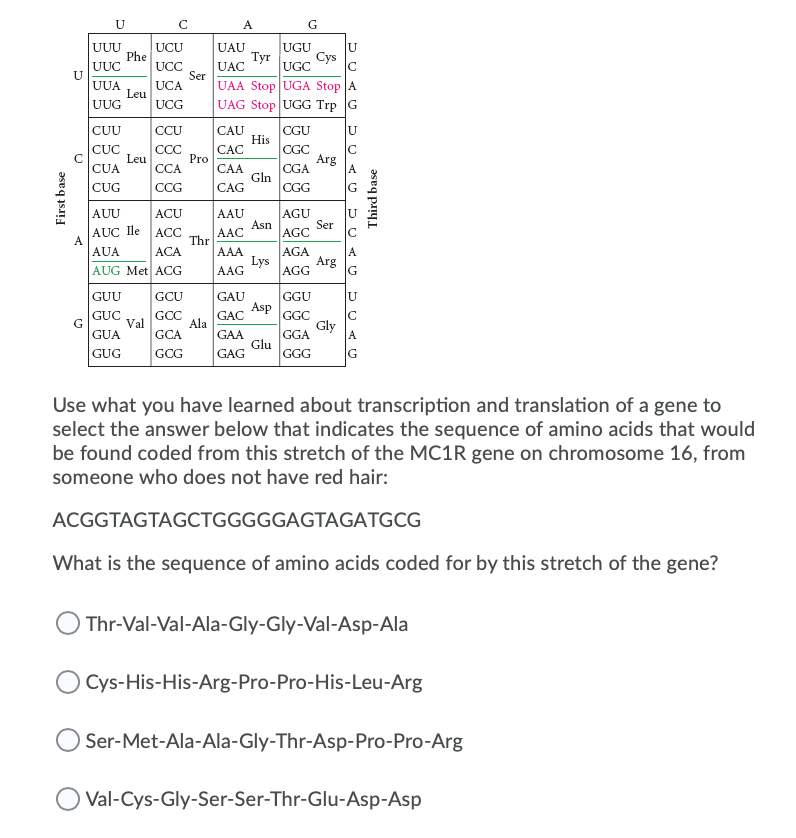 Solved U с A G U Uuu Ucu Phe Uuc Ucc Ser Uua Uca Leu Uug Ucg