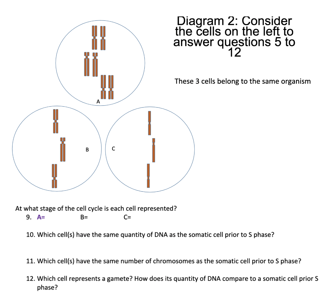 Solved Please Explain | Chegg.com | Chegg.com