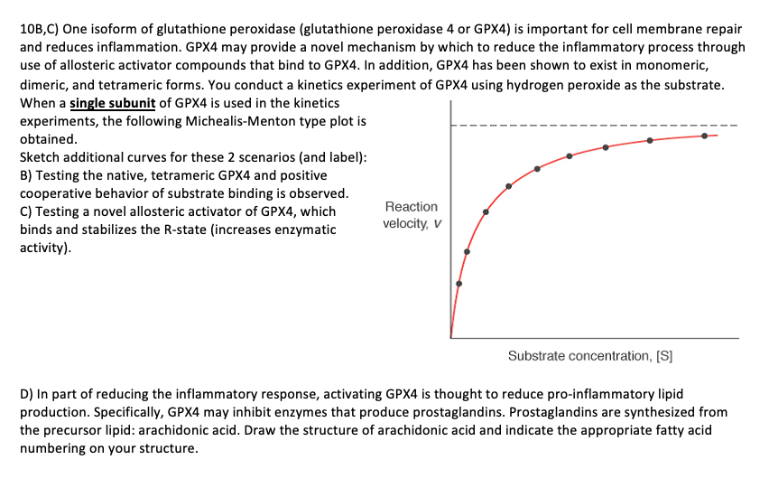 glutathione peroxidase mechanism