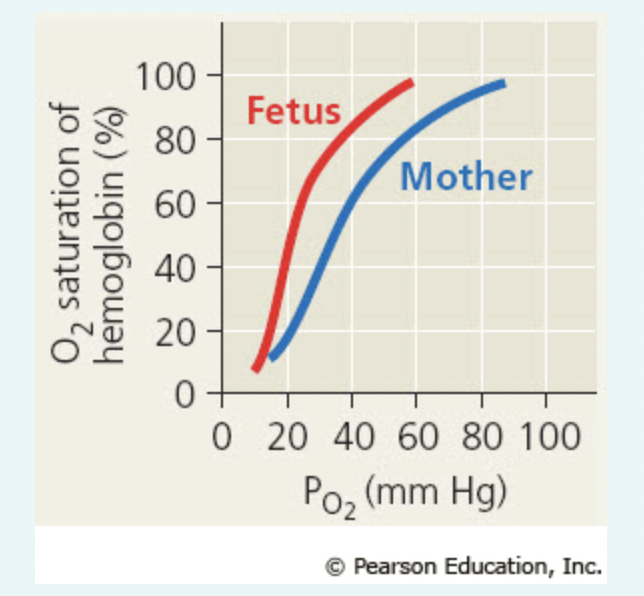 Solved Compare the dissociation curves of the two | Chegg.com