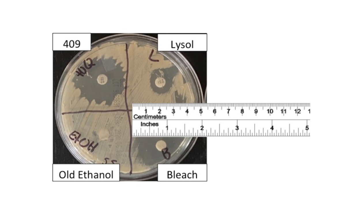 Solved A use dilutiontest has been conducted on the plates