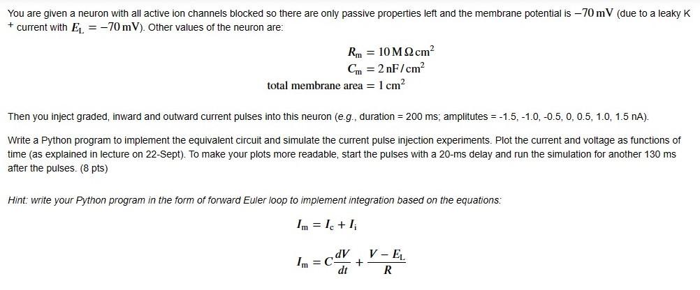 You are given a neuron with all active ion channels | Chegg.com