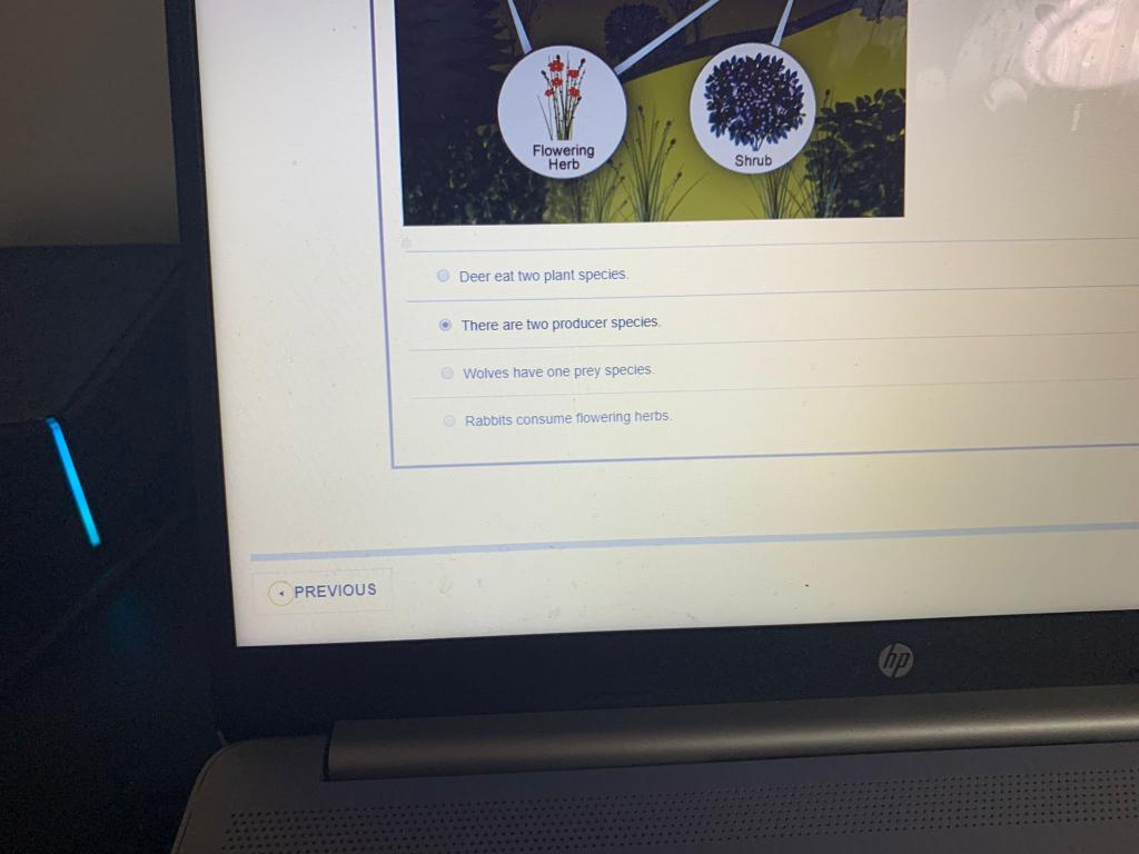 Solved Incorrect Question 20 Based on the following food web | Chegg.com