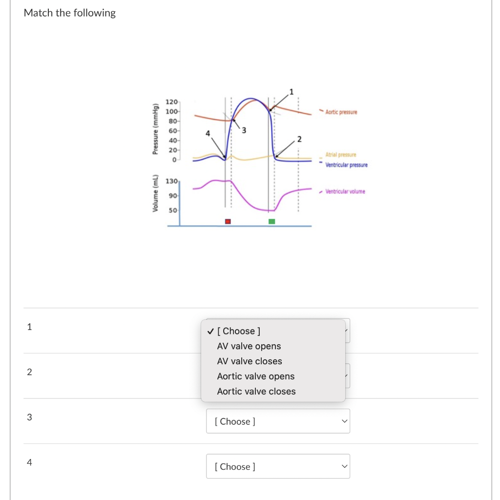 Solved Match the following | Chegg.com