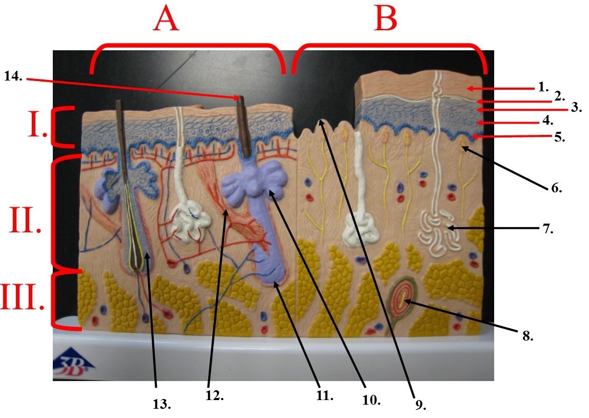 Solved Can You Please Help Me To Identify Them?a.b. | Chegg.com