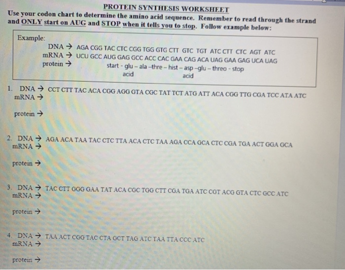 mrna-codon-chart-worksheet-answers-canvas-brah