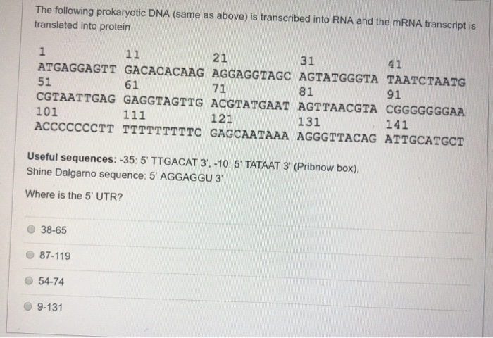 Solved The following prokaryotic DNA (same as above) is | Chegg.com