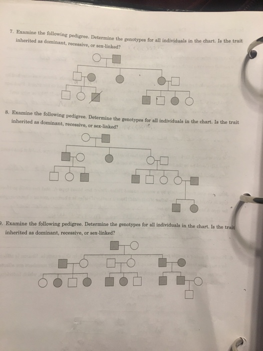 Solved 7. Examine the following pedigree. Determine the | Chegg.com